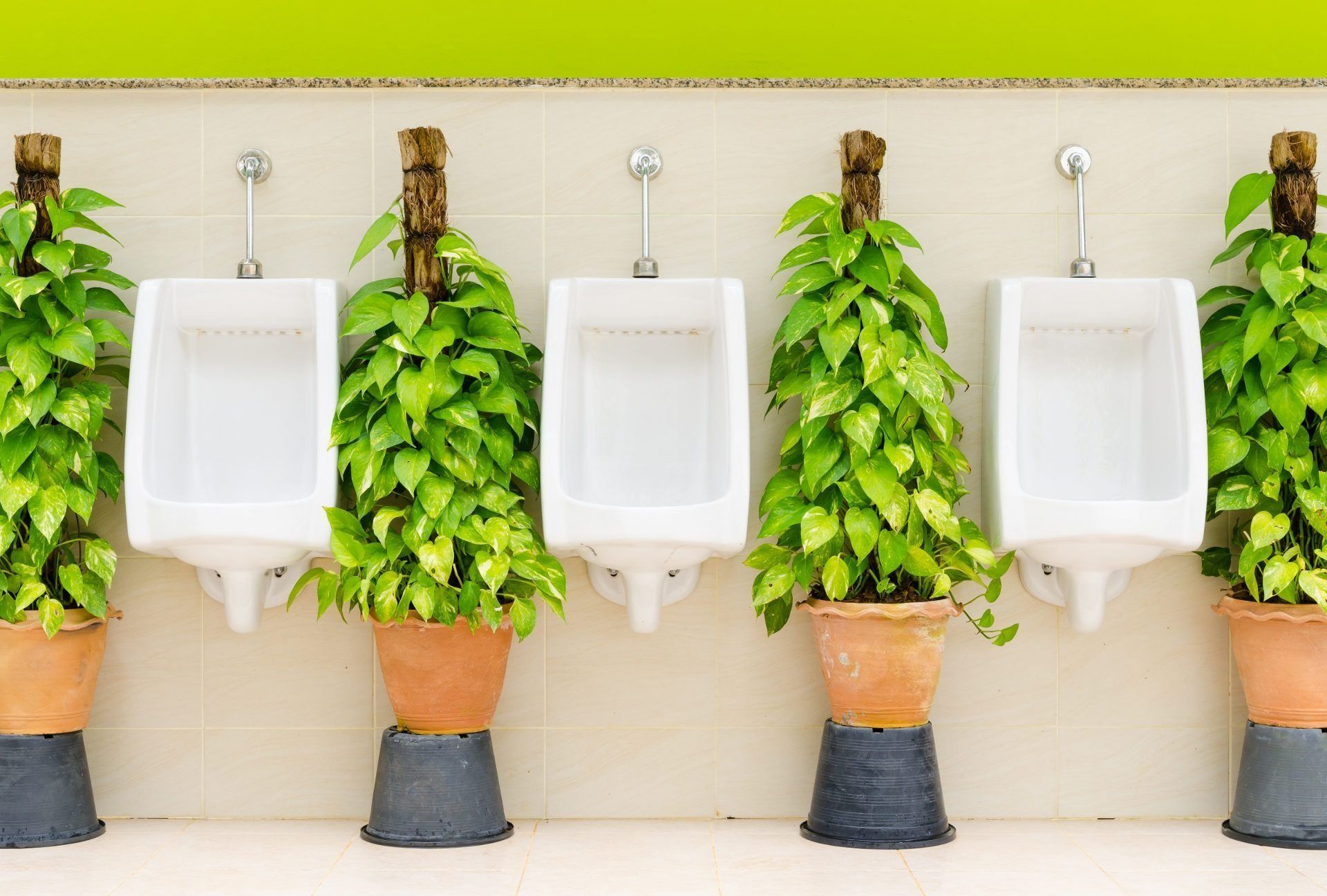 Rating of the best urinals 2020: how to choose