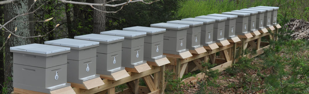 Betyg för de bästa bikuporna för bin för 2020