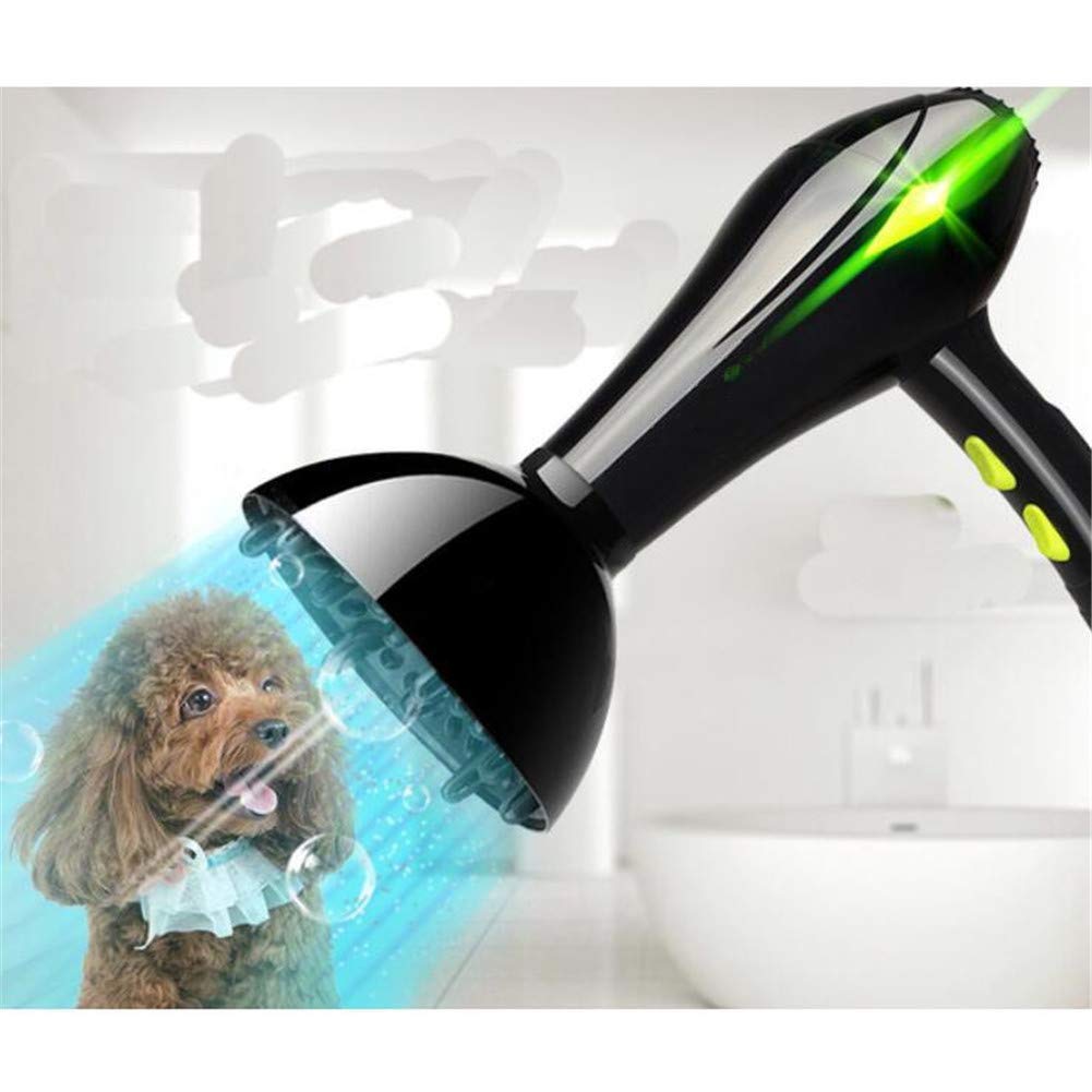 Rangering av hårføner-kompressorer for tørking av hunder og katter for 2020