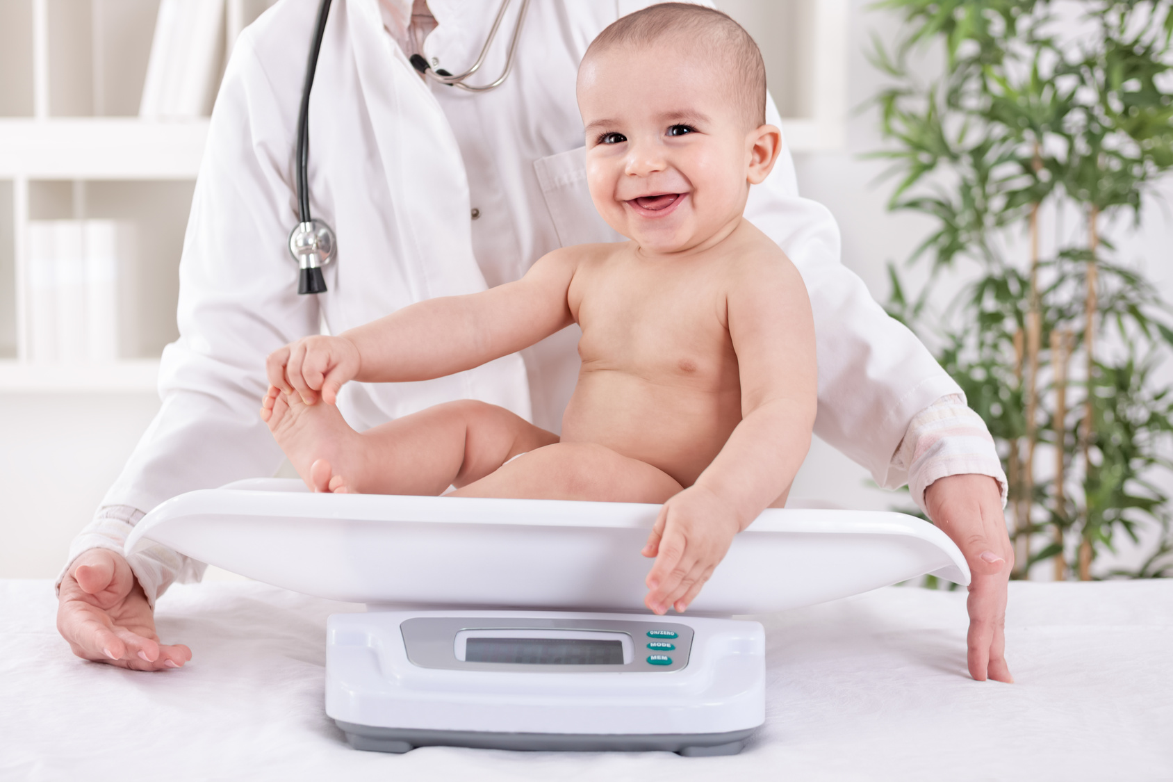 Rating of the best medical scales for 2020