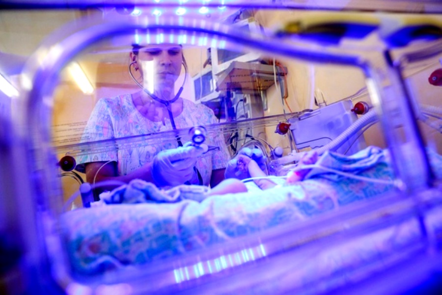 Rangering av de beste inkubatorene for nyfødte i 2020