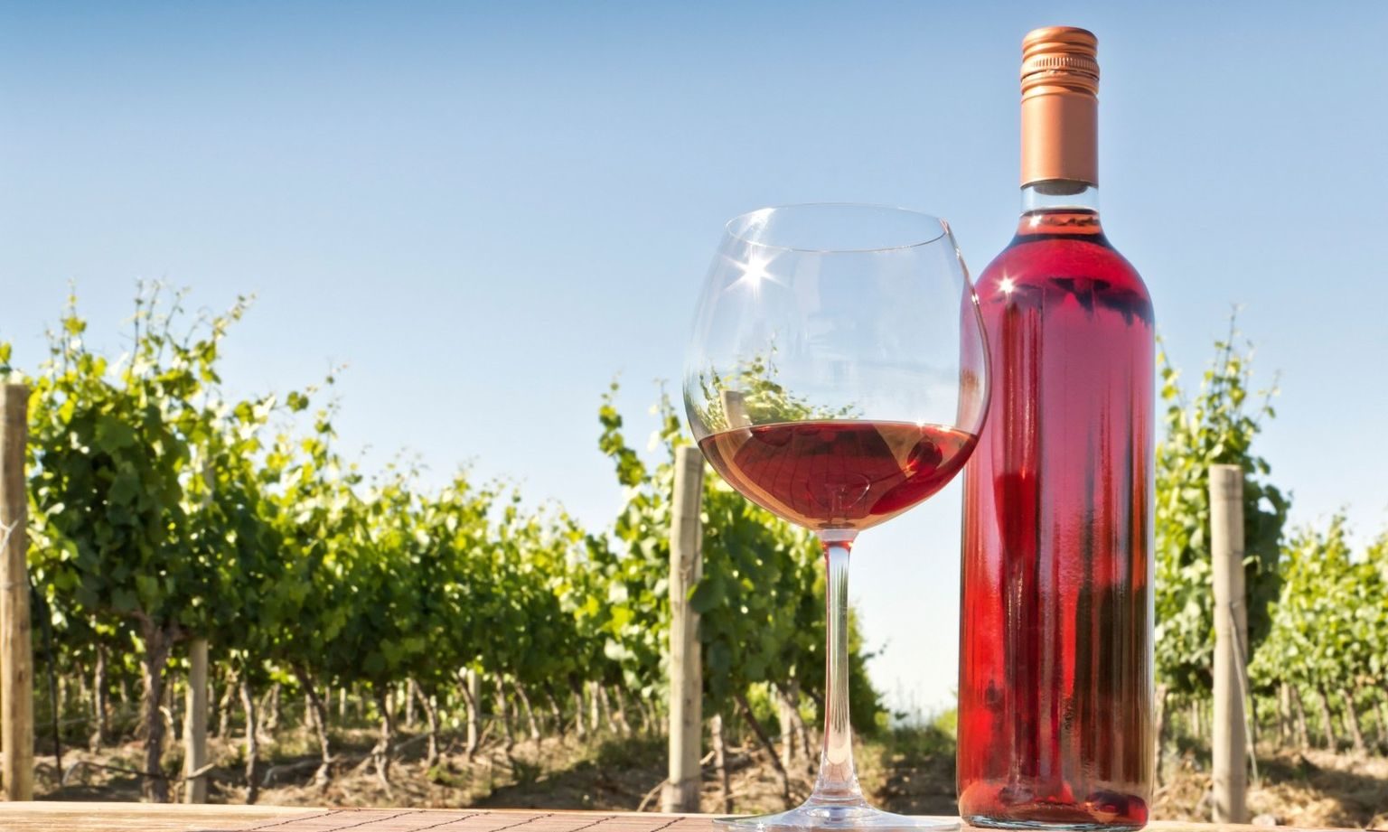 Rating of the best rosé wines for 2020