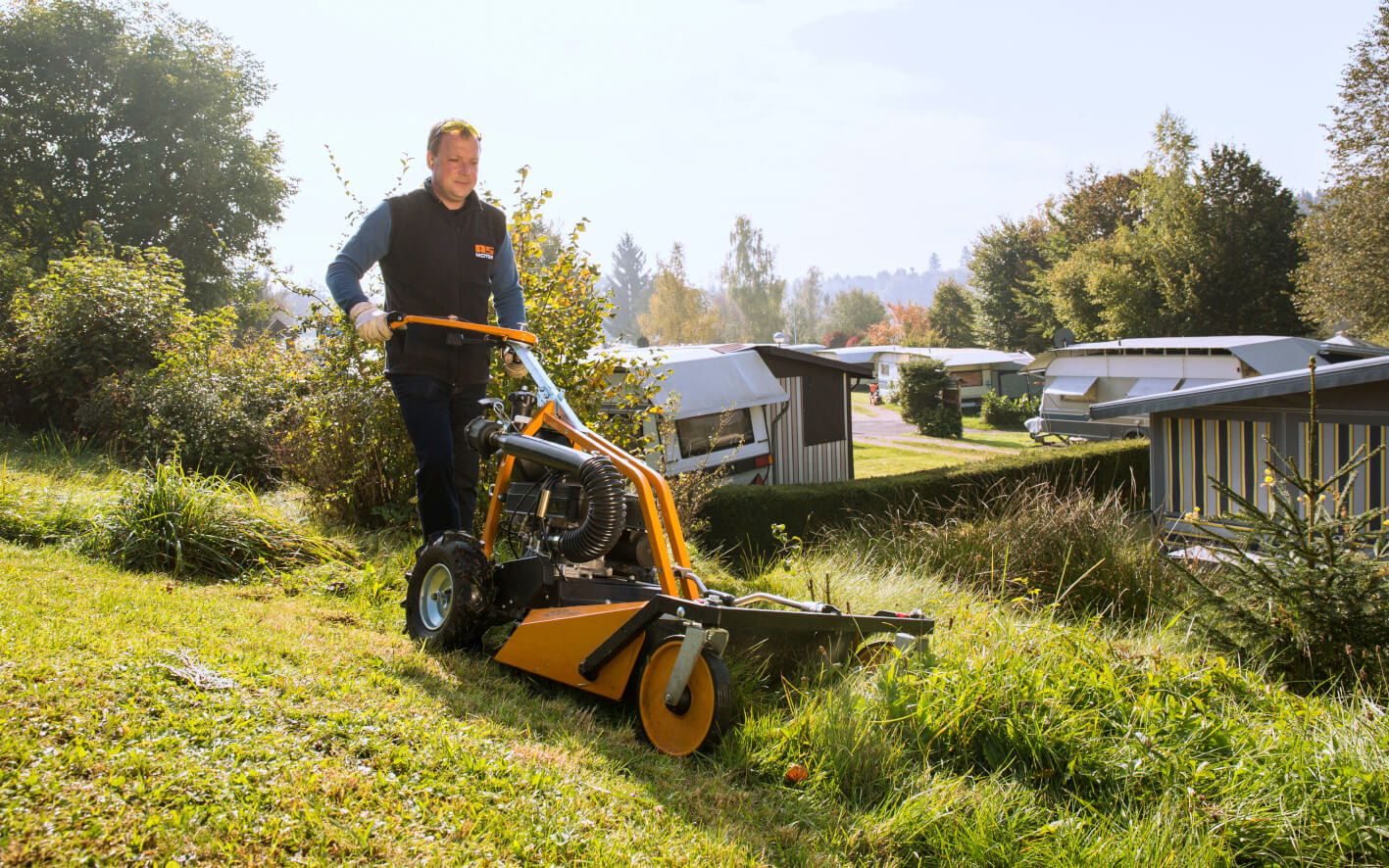 Ranking of the best mowers for 2020